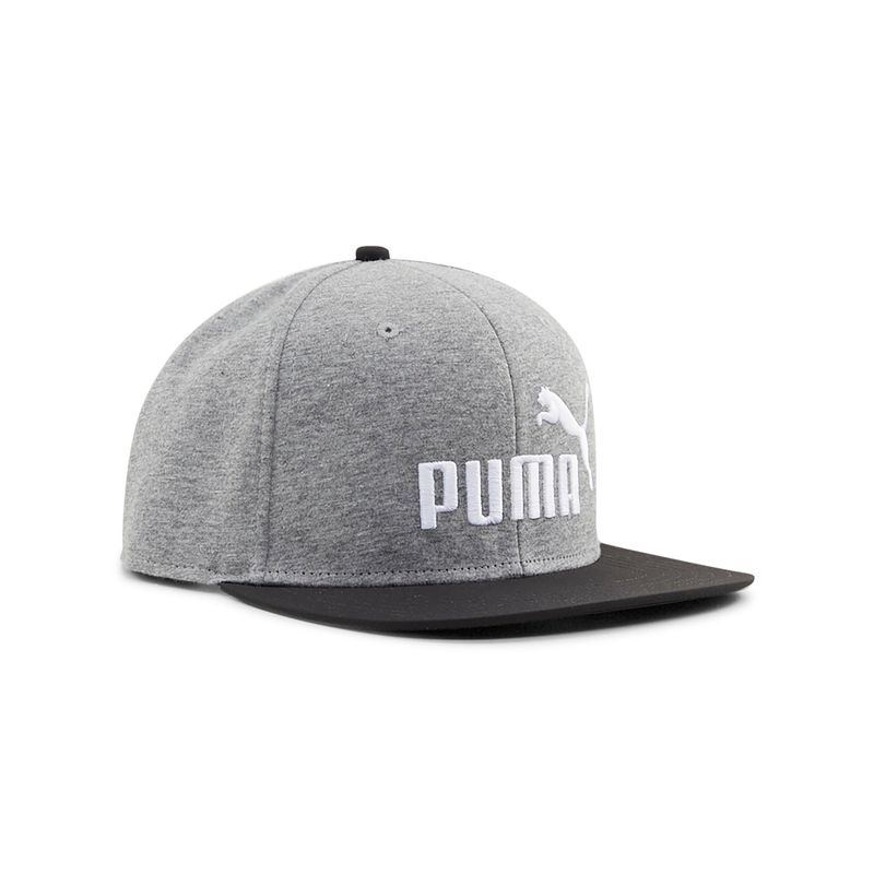 Accesorios-Entrenar-Unisex-Puma-Ess-No-1-Fb-Cap--Gris